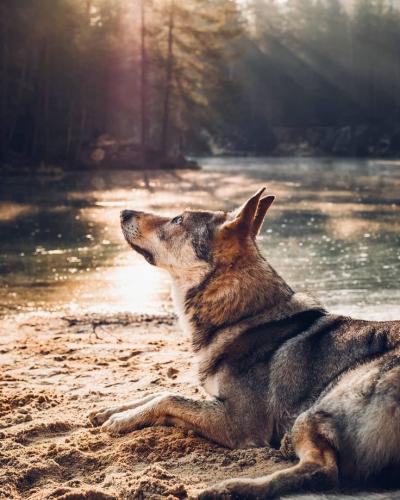 09:53:08 GMT-0600 (CST)