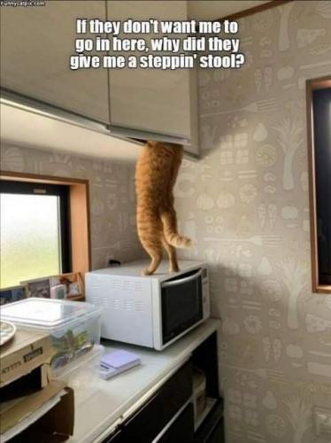 20:31:14 GMT-0600 (CST)