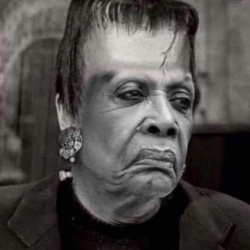 149913977_4134523159892266_6229536959808420876_n