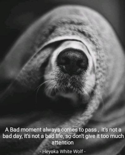 14:09:06 GMT-0600 (CST)