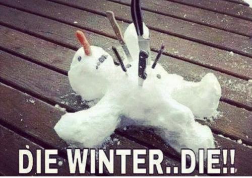 Die Winter Die