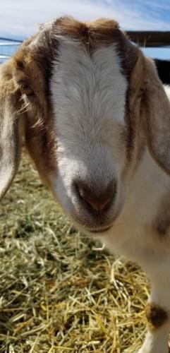 19:56:20 GMT-0800 (PST).image