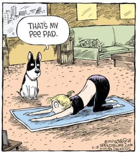 21:22:52 GMT-0600 (CST)