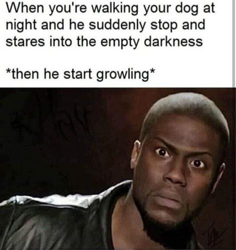 23:34:32 GMT-0500 (EST)