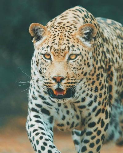 146630614_113076774087027_273330727214286044_o