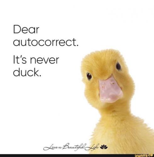 19:52:40 GMT-0800 (PST).image