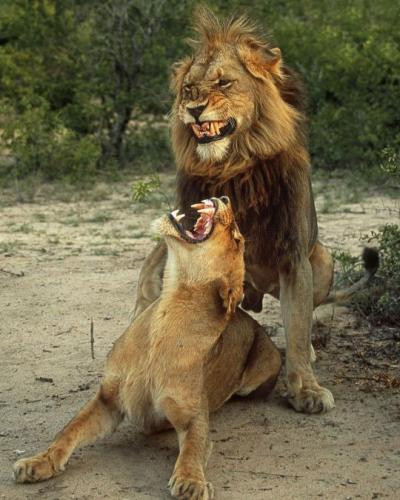 tumblr_9aa9177f5cc9e2264cb66272b96b815f_ed7ad9f7_540