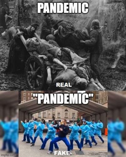 Pandemic