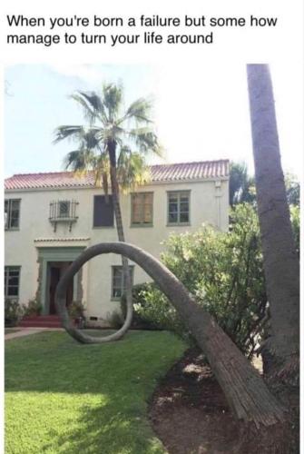 15:50:11 GMT-0600 (CST)