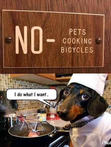 23:56:27 GMT-0800 (PST).image