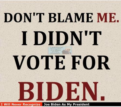 I didn't vote for him