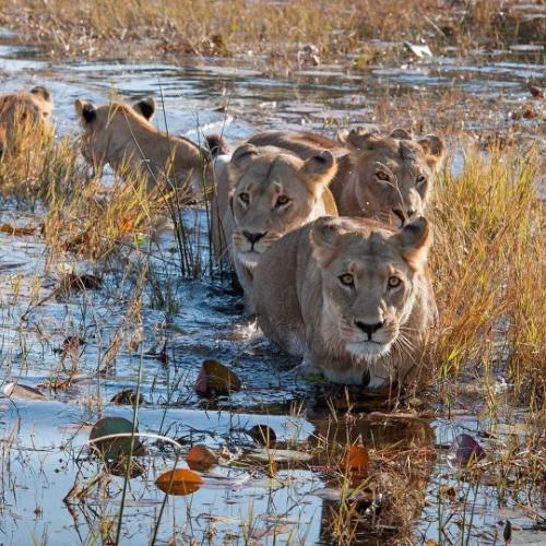 tumblr_3f947362bf2ce68b8e98c80ed32e99ab_6367732e_540