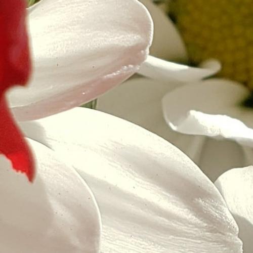 10:55:17 GMT-0500 (EST)