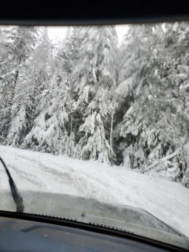 13:00:22 GMT-0800 (PST)