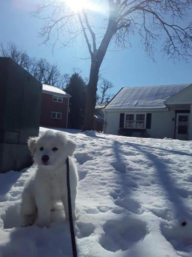 !cid_Resized_20210205_131639_001