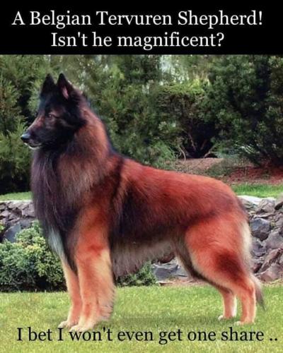 21:28:31 GMT-0500 (EST)