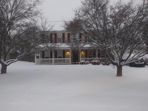 08:36:47 GMT-0600 (CST)