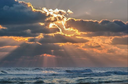 Screenshot 2021-02-11 at 7.28.57 PM