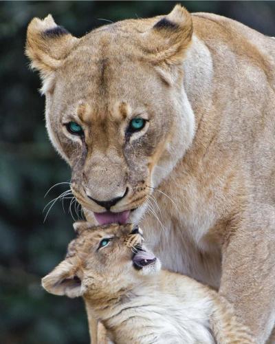 153555258_1806718582827679_5415194332455901614_o