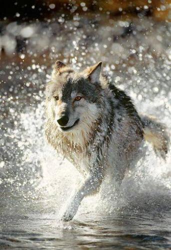 14440839_10205388077301570_59061432289223378_n