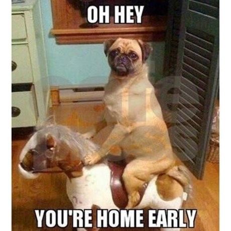 07:04:18 GMT-0700 (MST).image