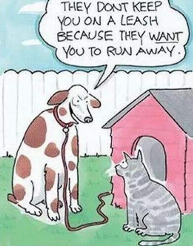 14:47:19 GMT-0800 (PST)