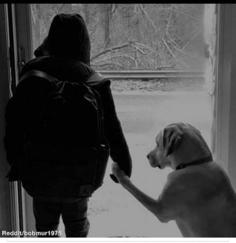 05:38:10 GMT-0700 (MST)