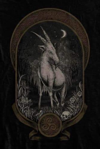 146173086_2790756464519192_4384856529861319698_n