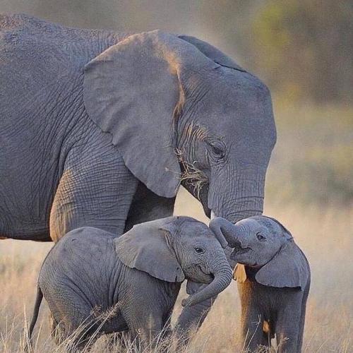 149055777_1797356370430567_2046226903037868649_o