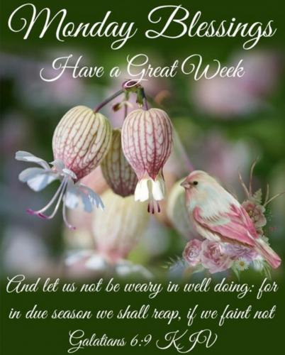 21:44:15 GMT-0600 (CST)