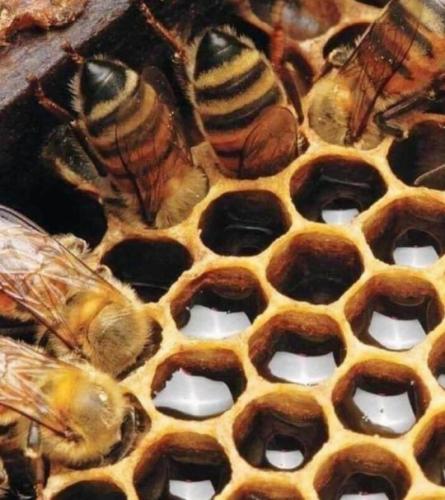 tumblr_73753dc03b209da7f26d28fa3df64f67_d9060bfe_540