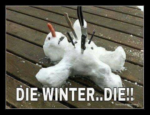 DIE WINTER