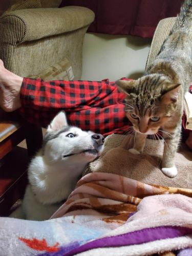 10:30:16 GMT-0500 (EST)