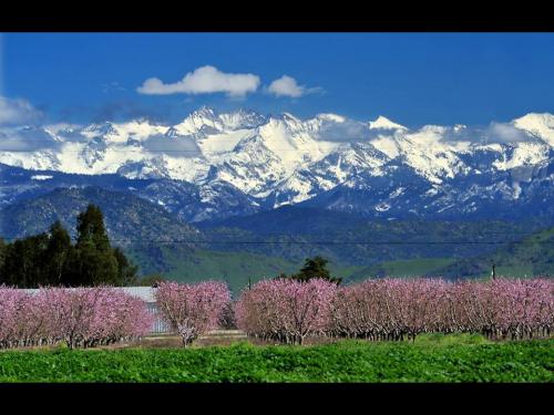 The Great San Joaquin Valley 1