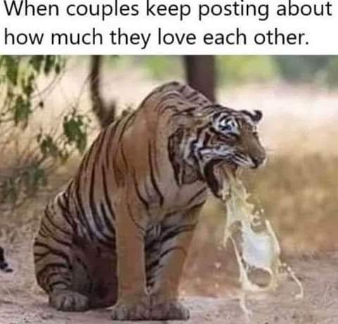 15:55:25 GMT-0800 (PST)