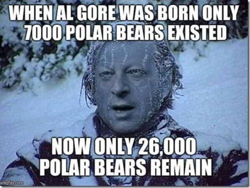 Gore