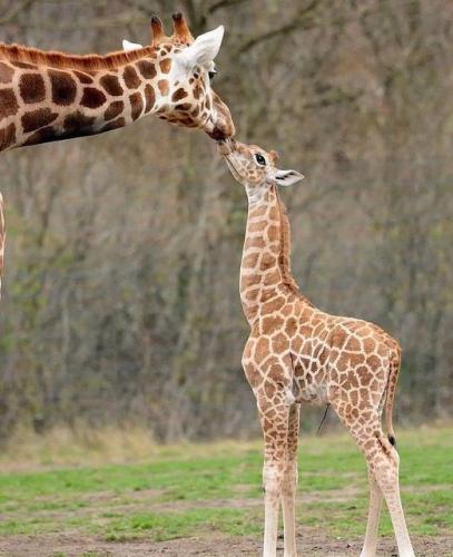 150362954_1799636826869188_1791954334471451332_o