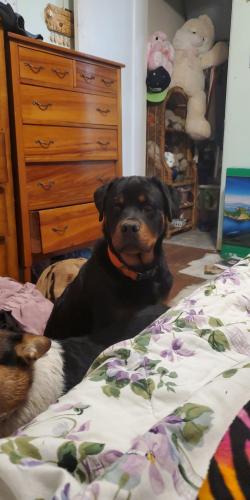 17:00:48 GMT-0800 (PST)