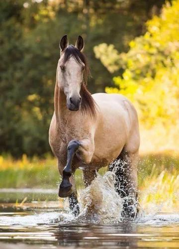 153646224_1521654621367216_5349539758964924567_n