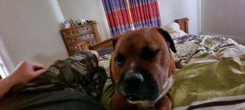 10:37:26 GMT+1100 (AEDT)