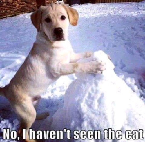 03:23:44 GMT-0500 (EST)