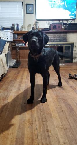 18:31:10 GMT-0800 (PST)