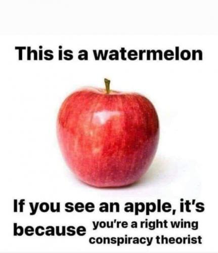 Right... they like to cancel everything by calling it conspiracy theory