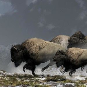 edac551a3d3c4a91ab6a3345951f9681