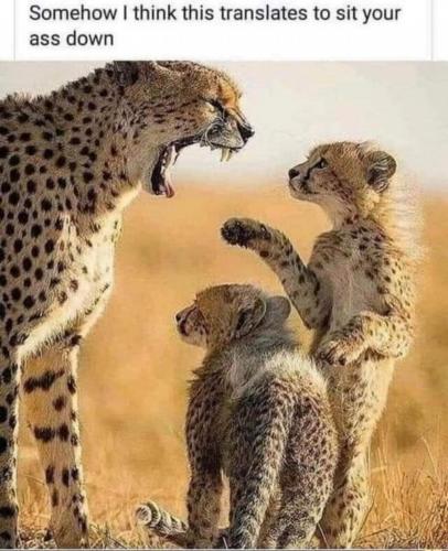 16:22:00 GMT-0500 (EST)