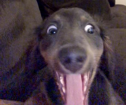 18:17:37 GMT-0800 (PST).image