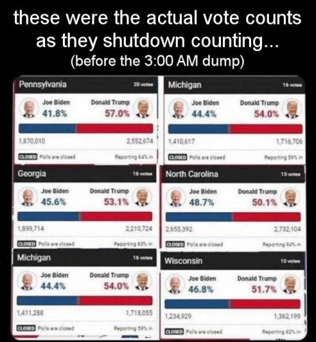 voterfraud127