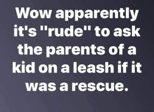 09:17:33 GMT-0500 (EST)