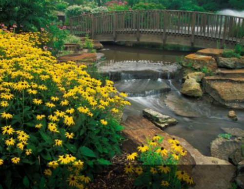 Screenshot 2021-02-05 at 7.36.43 AM