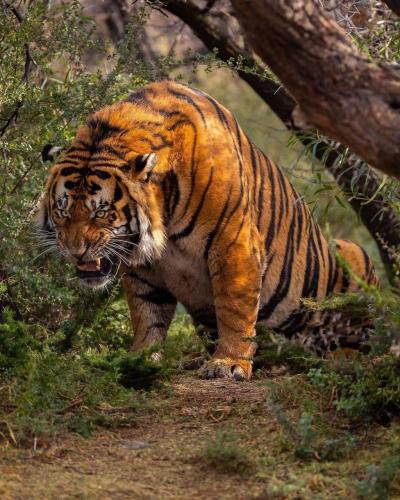 151237303_1801317430034461_7646373595864303408_o